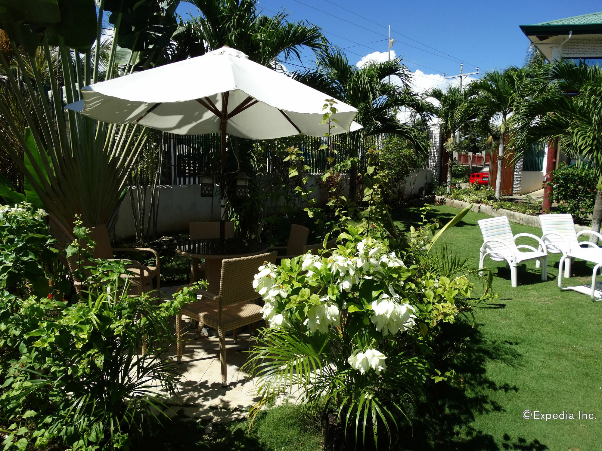 Harmony Hotel Panglao Exterior photo